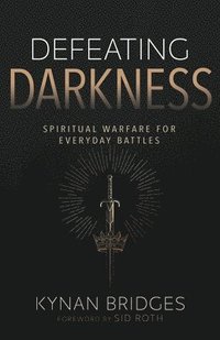 bokomslag Defeating Darkness