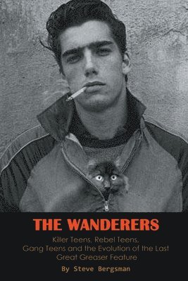 Wanderers - Killer Teens, Rebel Teens, Gang Teens and the evolution of the last Great Greaser Feature