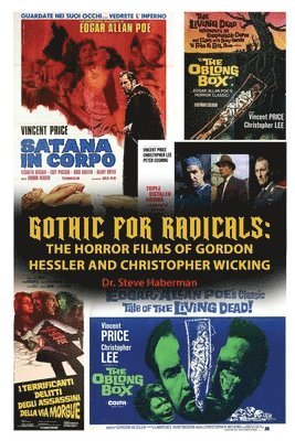 Steve Haberman - Gothic for Radicals, Häftad