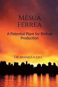 bokomslag Mesua Ferrea