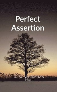 bokomslag Perfect Assertion