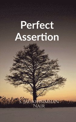 bokomslag Perfect Assertion