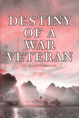 bokomslag Destiny of a War Veteran
