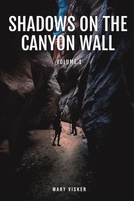 Shadows on the Canyon Wall 1