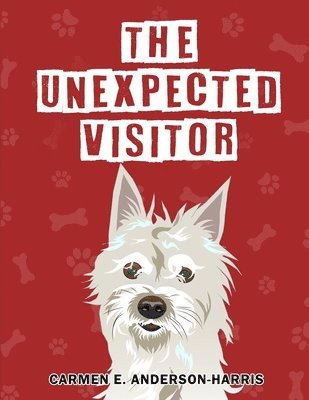 The Unexpected Visitor 1