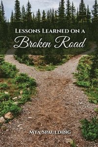 bokomslag Lessons Learned on a Broken Road