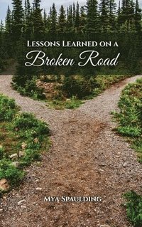 bokomslag Lessons Learned on a Broken Road