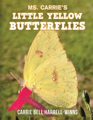 Ms. Carrie's Little Yellow Butterflies 1