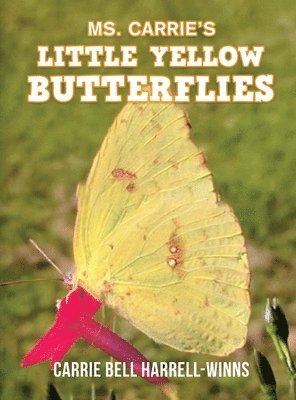 Ms. Carrie's Little Yellow Butterflies 1