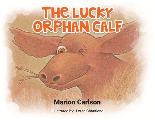 The Lucky Orphan Calf 1