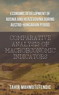 bokomslag Economic Development of Bosnia and Herzegovina during Austro-Hungarian Period