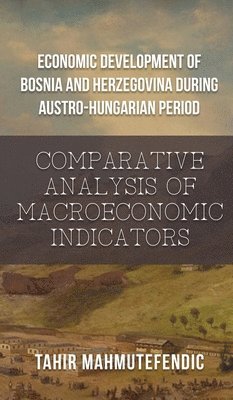 bokomslag Economic Development of Bosnia and Herzegovina during Austro-Hungarian Period