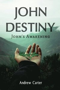 bokomslag John Destiny