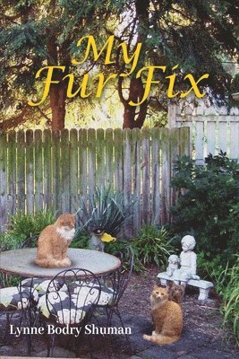 My Fur Fix 1