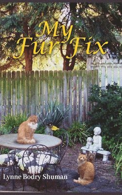 My Fur Fix 1