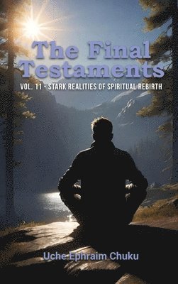 bokomslag The Final Testaments Vol. 11