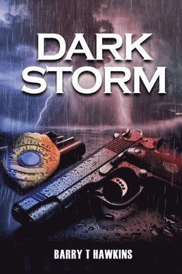 bokomslag Dark Storm