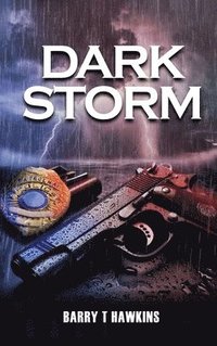 bokomslag Dark Storm