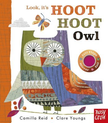 Camilla Reid - Look, It's Hoot Hoot Owl, Kartonnage