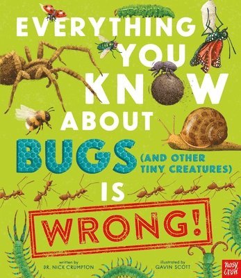 bokomslag Everything You Know about Bugs (and Other Tiny Creatures) Is Wrong!