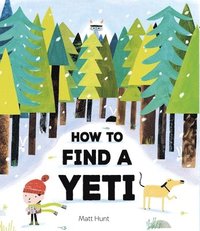 bokomslag How to Find a Yeti