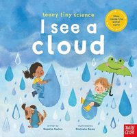 bokomslag Teeny Tiny Science: I See a Cloud