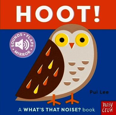 What's That Noise? Hoot!, Kartonnage