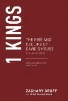 bokomslag 1 Kings: The Rise and Decline of David's House