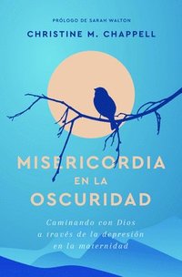 bokomslag Misericordia En La Oscuridad: Caminando Con Dios a Través de la Depresión En La Maternidad