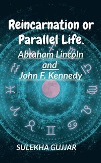 bokomslag Reincarnation or Parallel Life