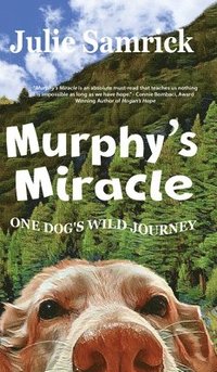 bokomslag Murphy's Miracle