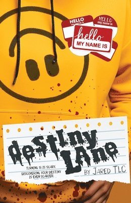 bokomslag Destiny Lane
