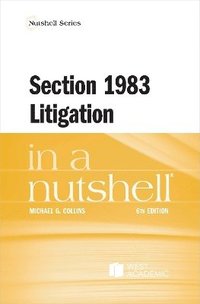 bokomslag Section 1983 Litigation in a Nutshell
