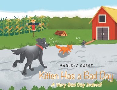 bokomslag Kitten Has A Bad Day