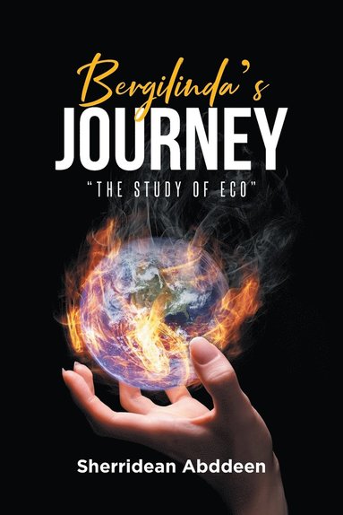 bokomslag Bergilinda's Journey 'The Study of Eco'