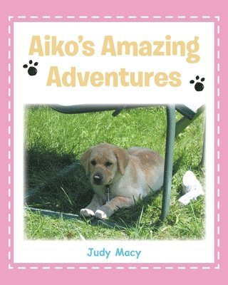 Judy Macy, Macy,Judy, - Aiko's Amazing Adventures, Häftad