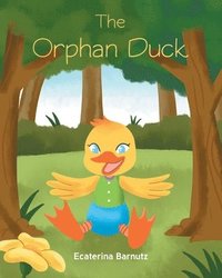 bokomslag Orphan Duck