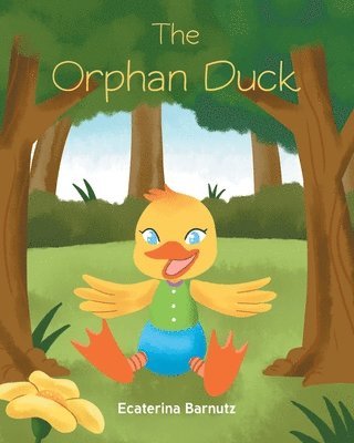 bokomslag Orphan Duck