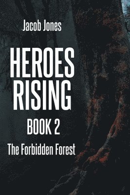 Heroes Rising Book 2
