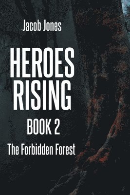 Heroes Rising Book 2 1