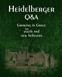 bokomslag Heidelberger Q&A
