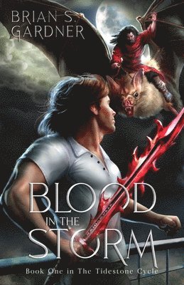 bokomslag Blood in the Storm