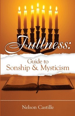 bokomslag Fullness: Guide to Sonship & Mysticism