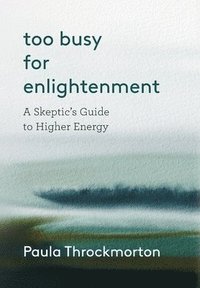 bokomslag Too Busy For Enlightenment