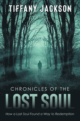 bokomslag Chronicles of the Lost Soul