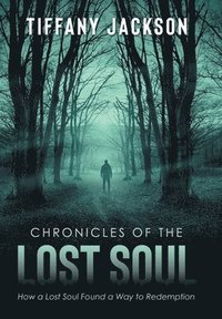bokomslag Chronicles of the Lost Soul