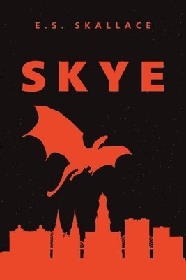 bokomslag Skye