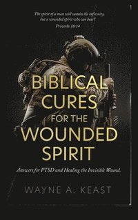 bokomslag Biblical Cures for the Wounded Spirit: Answers for PTSD and Healing the Invisible Wound