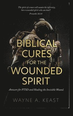 Biblical Cures for the Wounded Spirit: Answers for PTSD and Healing the Invisible Wound 1