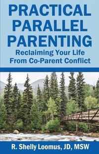 bokomslag Practical Parallel Parenting: Practical Parallel Parenting